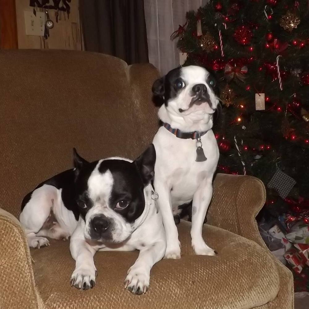 Meet your Posher, Beckie