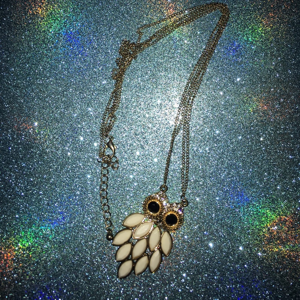 Owl long chain necklace