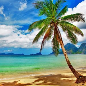 Meet your Posher, Begaina