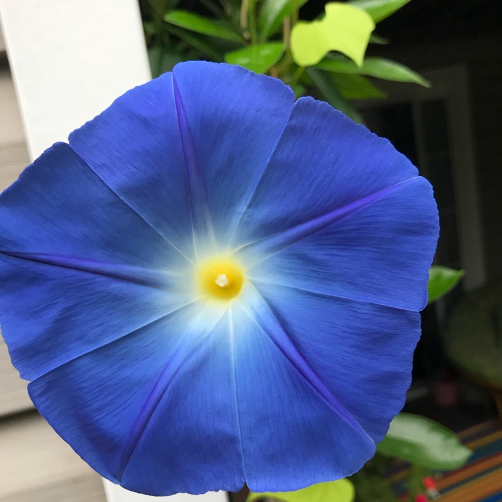 Meet your Posher, Vera