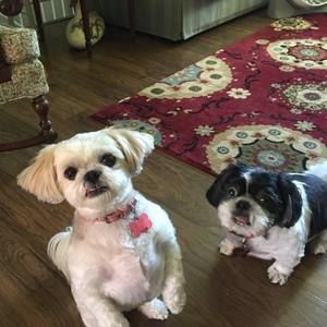 Meet your Posher, Nancy