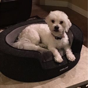 Meet your Posher, Martha