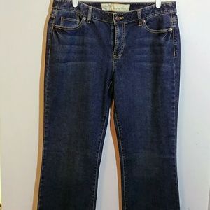 Ann Taylor Loft NWT Plus size 14 Boot cut Jeans