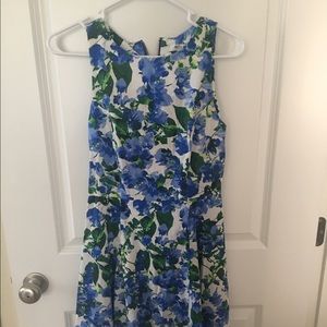 Milly for design nation dress