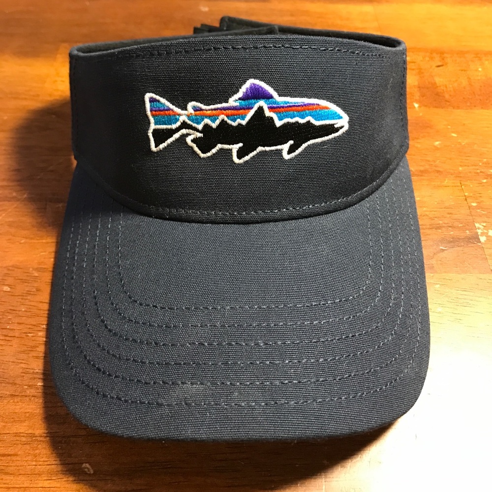 Patagonia Blue Visor