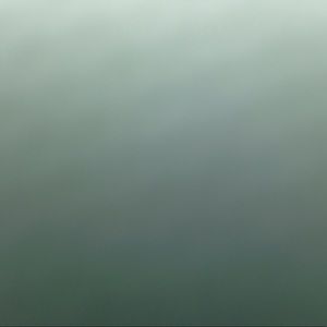 Meet your Posher, Maureen