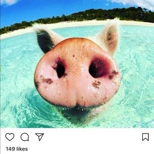 Meet your Posher, Olivia