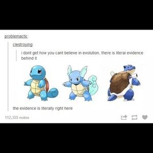 Meet your Posher, Selena