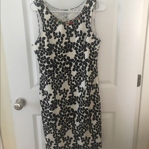 Lucyparis jeweled dress