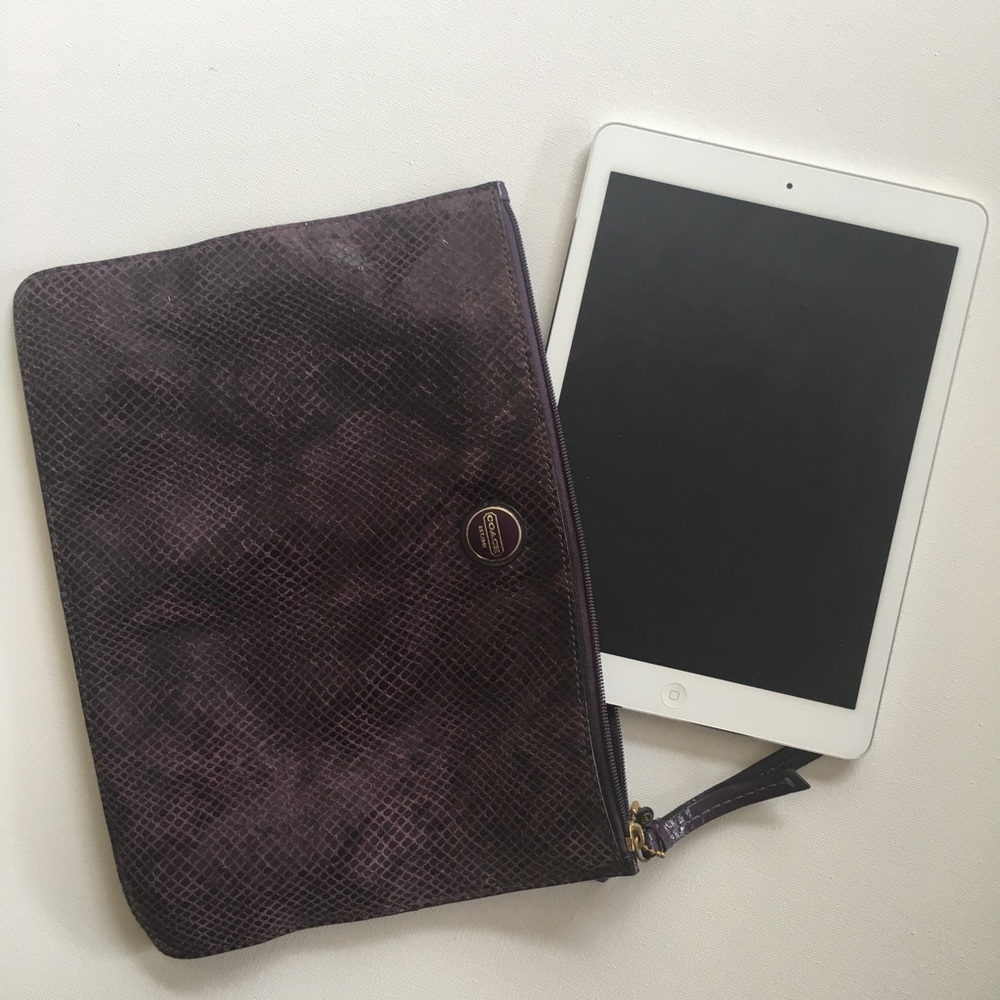 coach / pouch