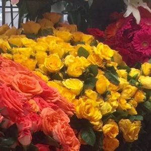 Meet your Posher, Rebecca