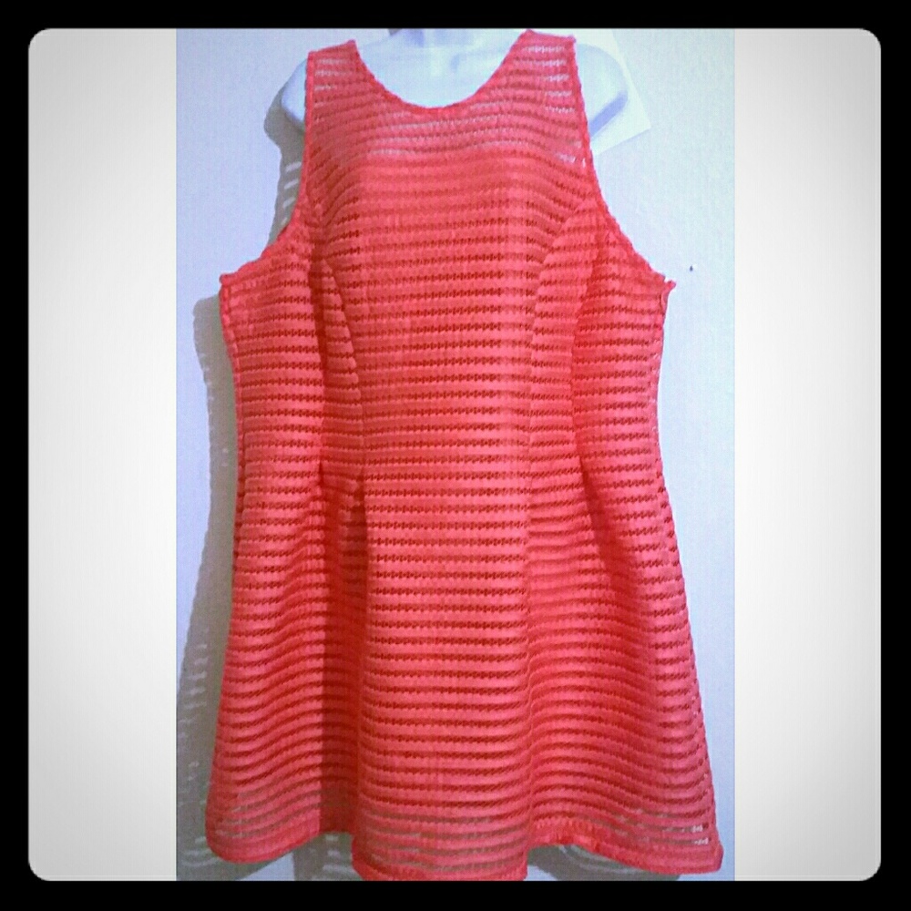 Nwt classy chic structure sheer neck dress
