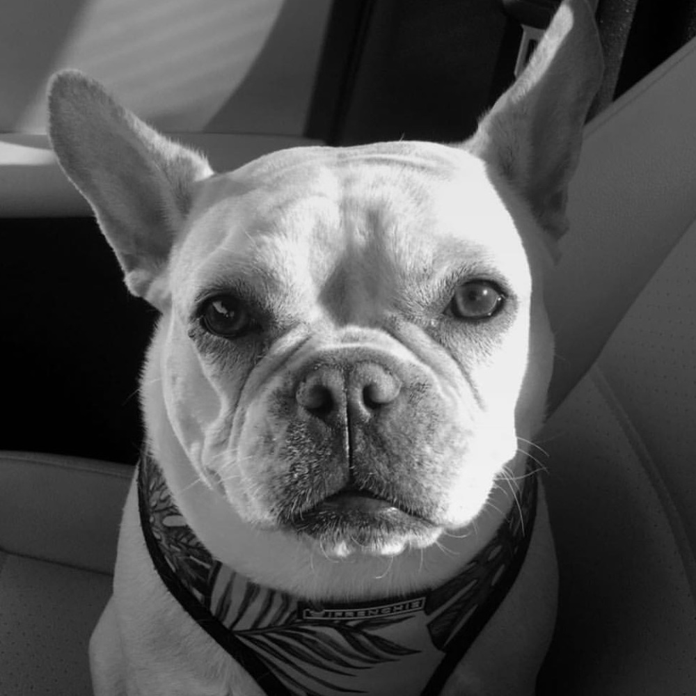 Meet your Posher, Lauren