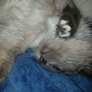 Meet your Posher, Leah