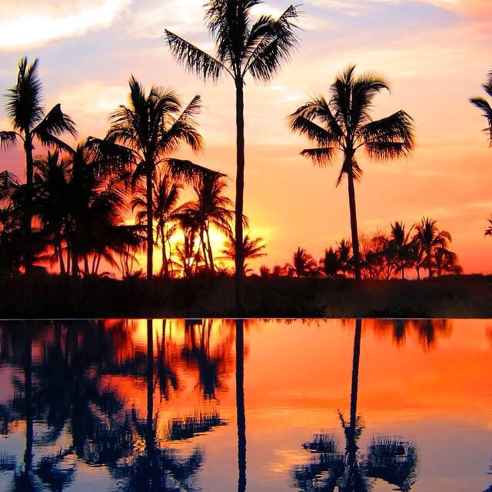 Meet your Posher, Ava