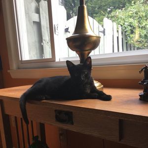 Meet your Posher, Robin