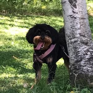 Meet your Posher, Kimberly