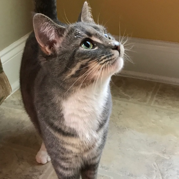 Meet your Posher! - Picture 2 of 3