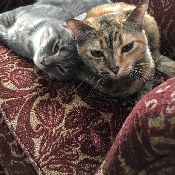 Meet your Posher! - Picture 3 of 3