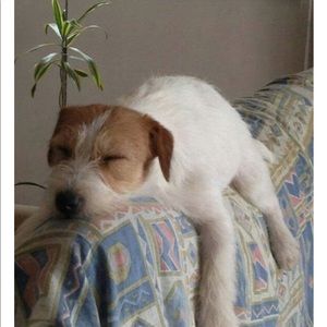 Meet your Posher, Lynn