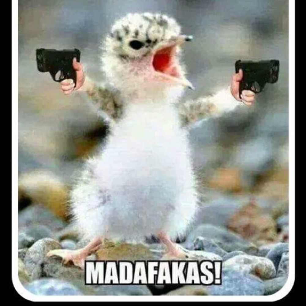 Meet your Posher, Seantaneyah