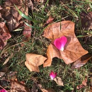 Meet your Posher, Connie