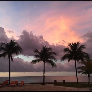 Meet your Posher, Skylar