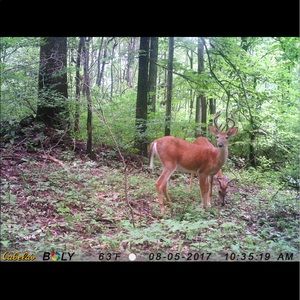 Meet your Posher, Kevin