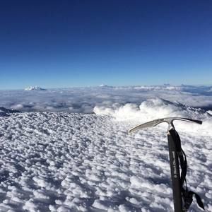 Meet your Posher, Eva