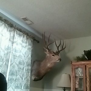 Meet your Posher, Leslie