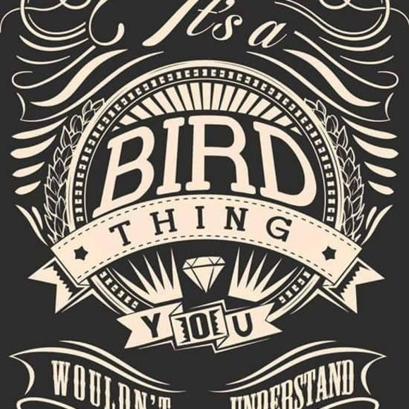 Meet your Posher, Chris - Picture 1 of 1