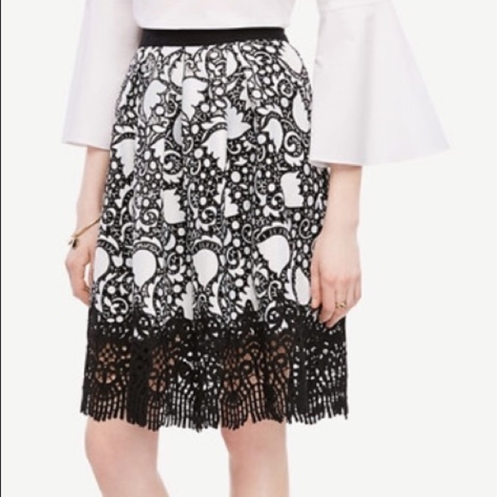 Ann Taylor tulip lace skirt NWT
