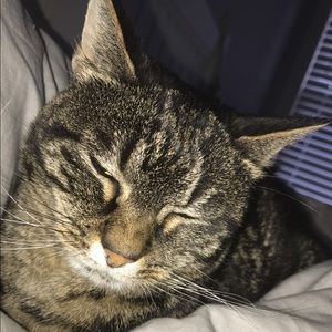 Meet your Posher, Emma