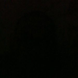 Meet your Posher, Oscar