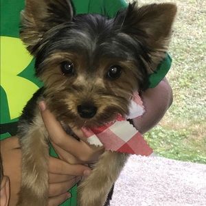 Meet your Posher, Melanie