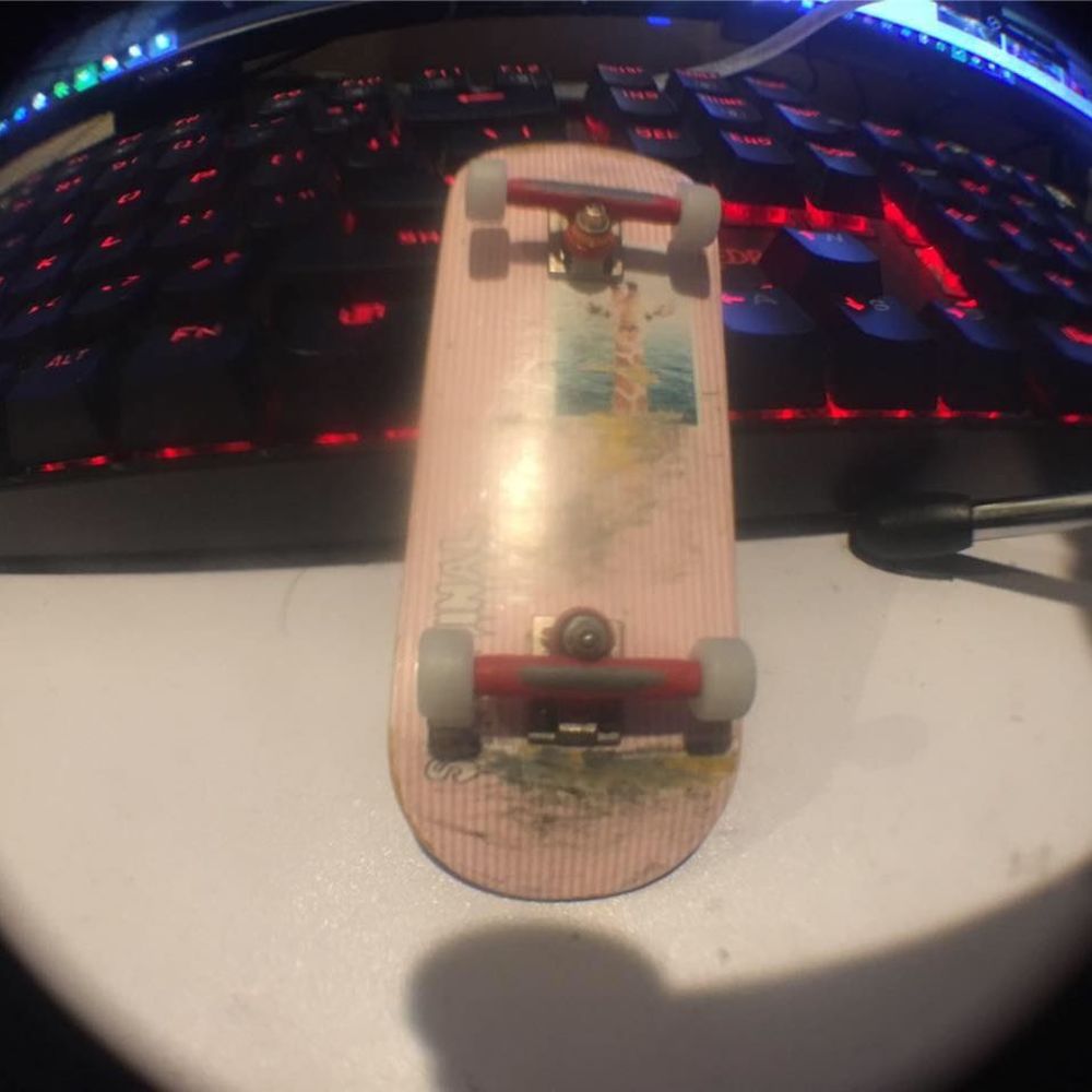 Meet your Posher, Luis