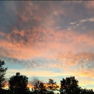 Meet your Posher, Lucy