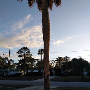 Meet your Posher, Donnie