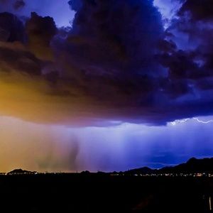 Meet your Posher, Brandy