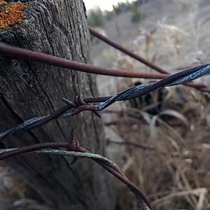 Meet your Posher, Joanne