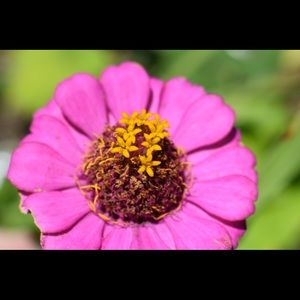 Meet your Posher, Olivia