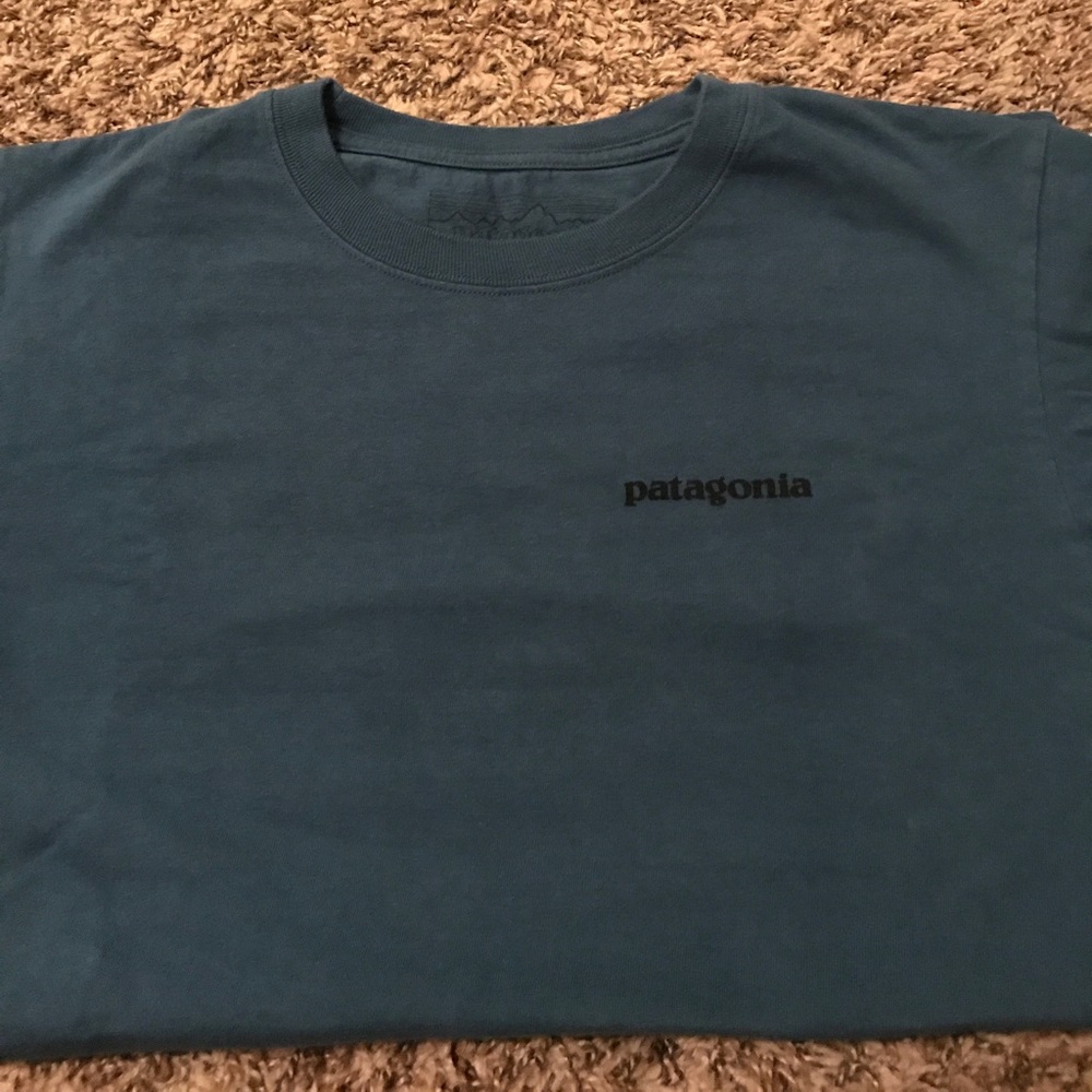 Men's Patagonia Tshirt