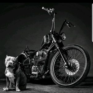 Meet your Posher, Marcus