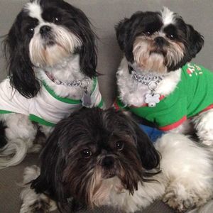 Meet your Posher, Mandy