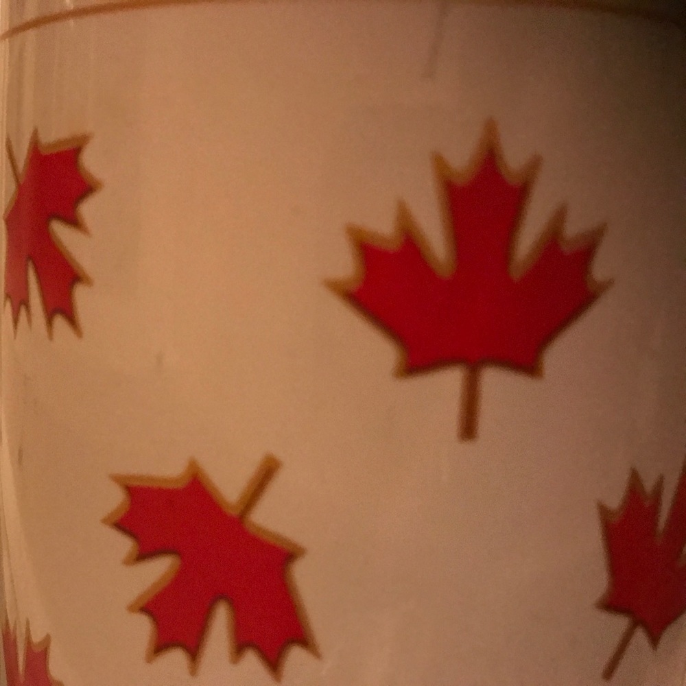 Meet your Posher, Dodo