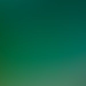 Meet your Posher, Priscilla