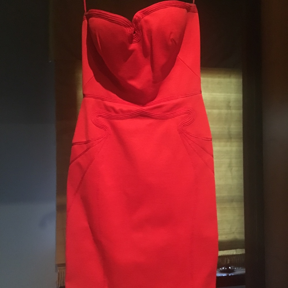 Zac Posen red dress