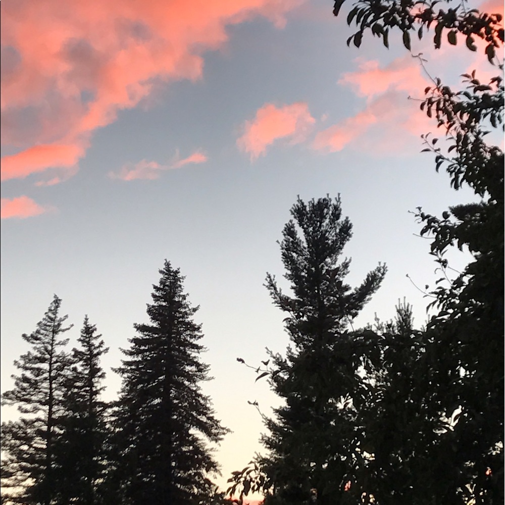 Meet your Posher, Madi