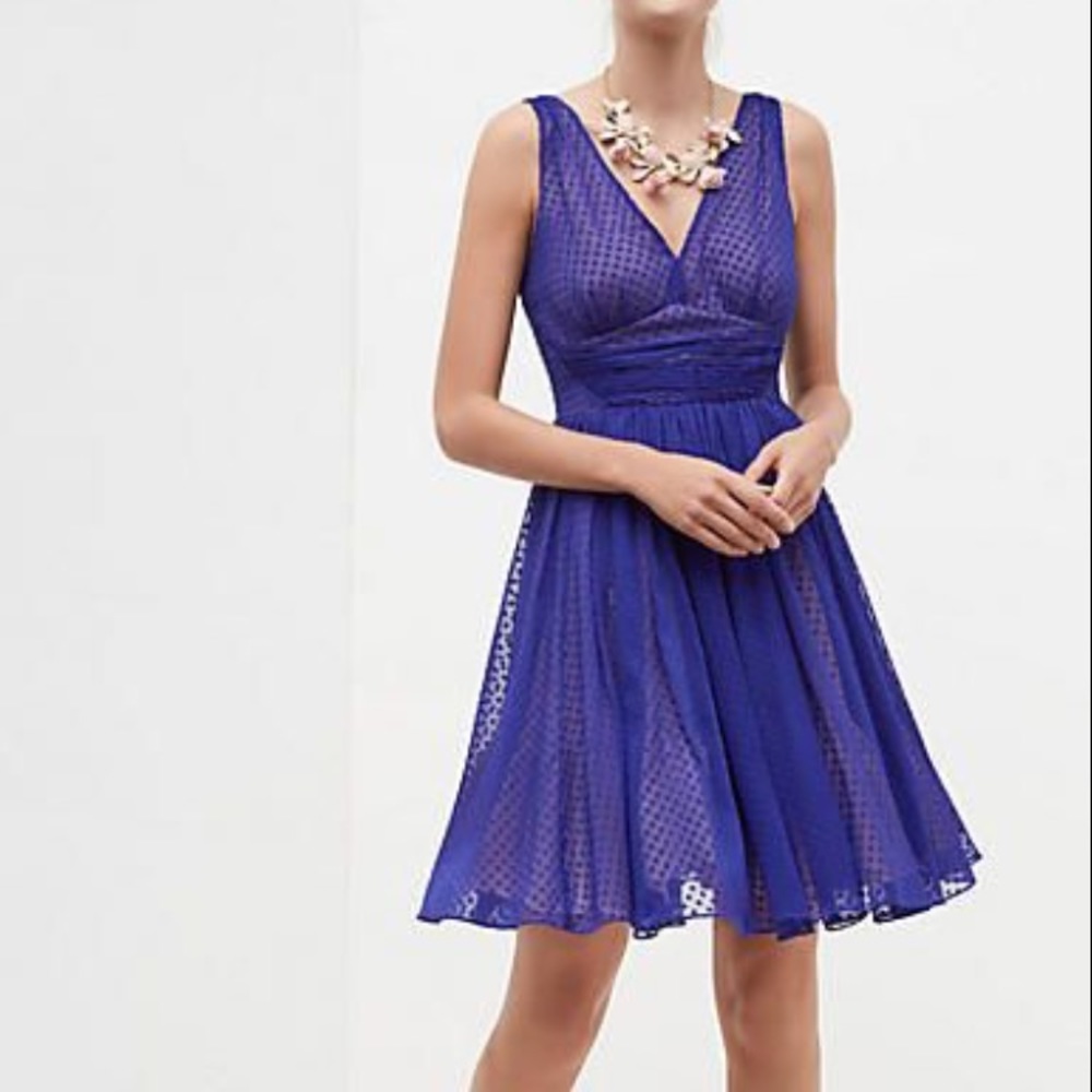 Anthropologie HD in Paris Clip Dot Dress Size 8
