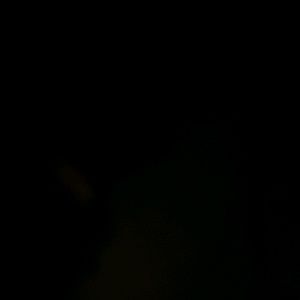 Meet your Posher, Yanet